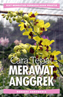 Cara tepat merawat anggrek