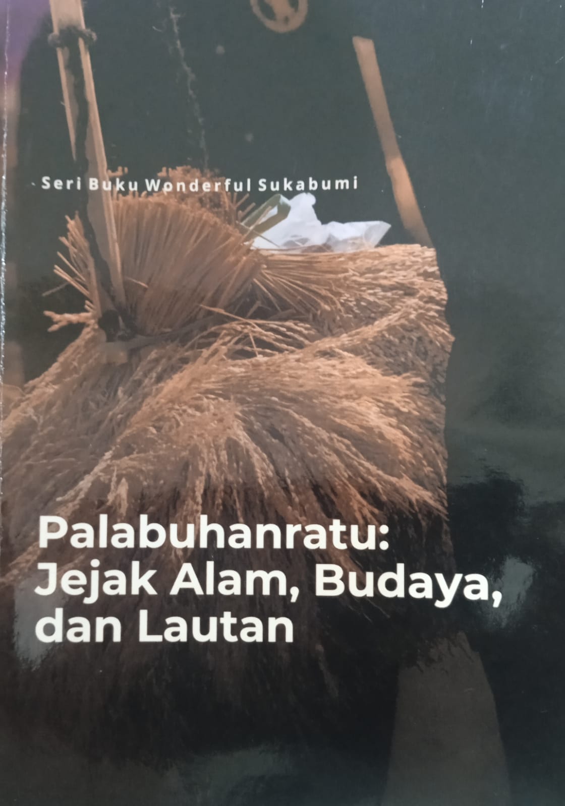 Palabuhanratu Jejak Alam, Budaya dan Lautan :  Seri Buku Wonderful Sukabumi / IRMAN FIRMANSYAH