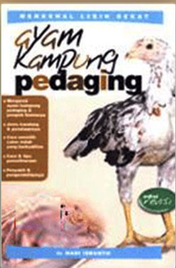 Ayam Kampung Pedaging